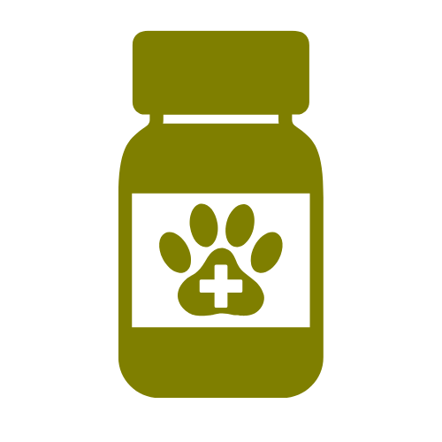 Pharmacy Icon