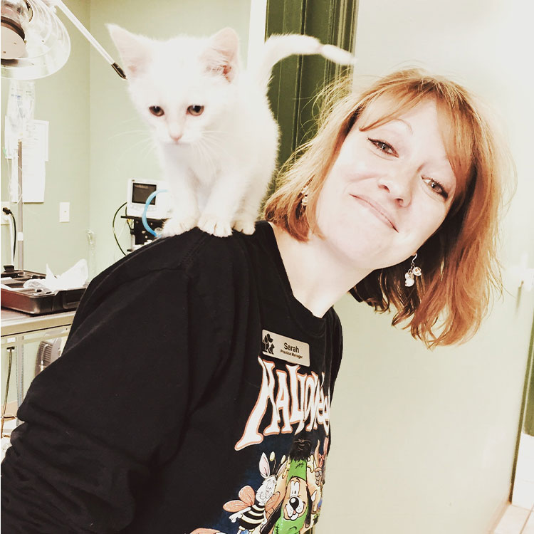 Sarah Messner<br />
Practice Manager and Veterinary Cannabis Counselor